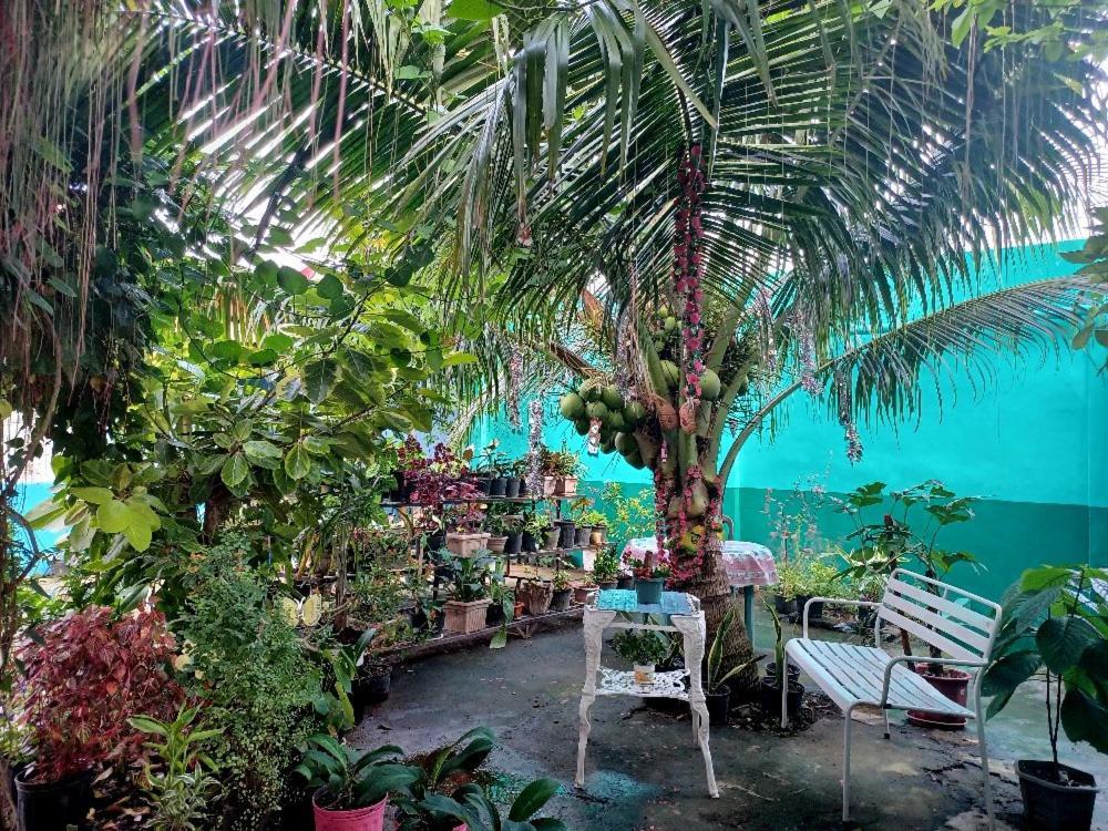 Pete'S Inn Roxas City Kültér fotó
